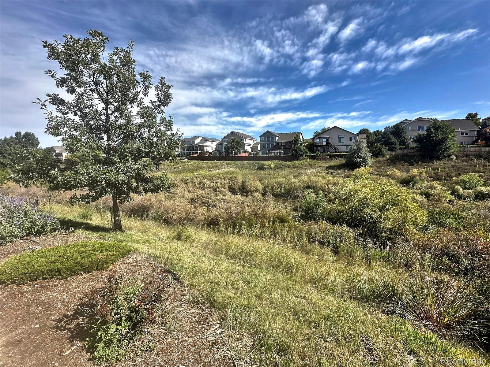 MLS Image #15 for 6463  bluffmont point ,colorado springs, Colorado