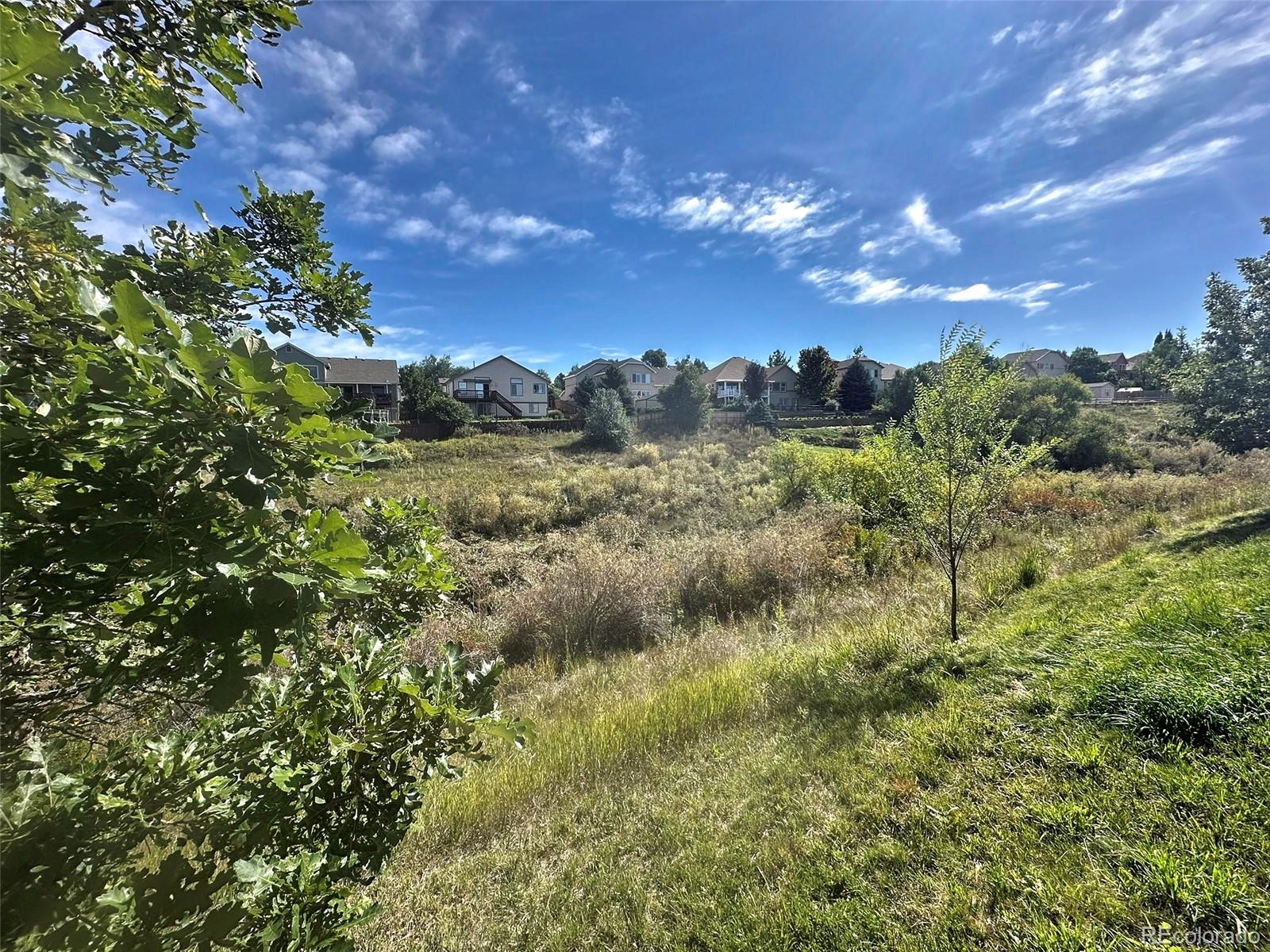 MLS Image #16 for 6463  bluffmont point ,colorado springs, Colorado