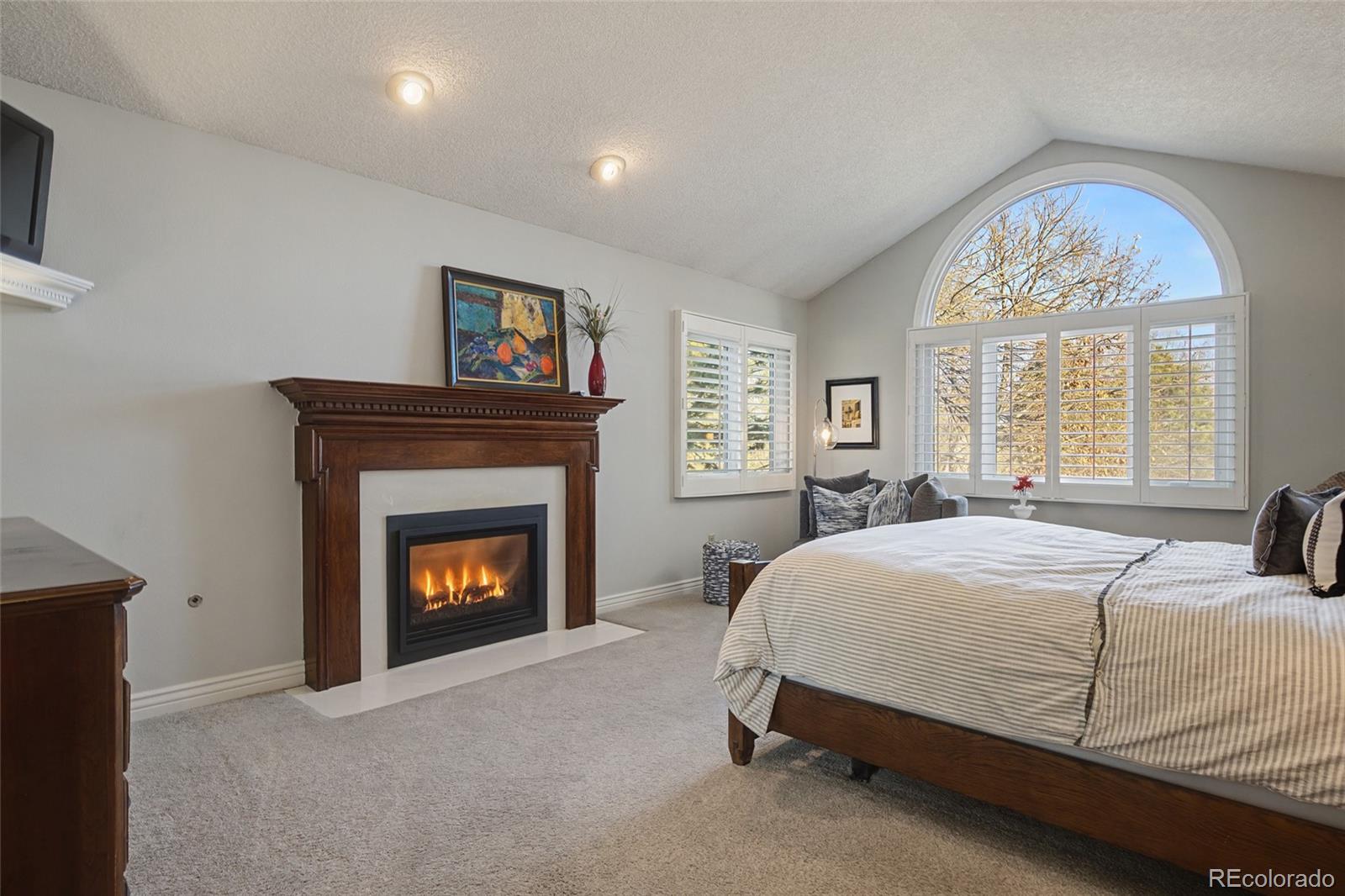 MLS Image #18 for 5960  blue sage way,littleton, Colorado