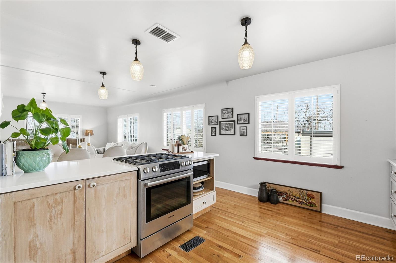 MLS Image #17 for 2022 w elk place,denver, Colorado