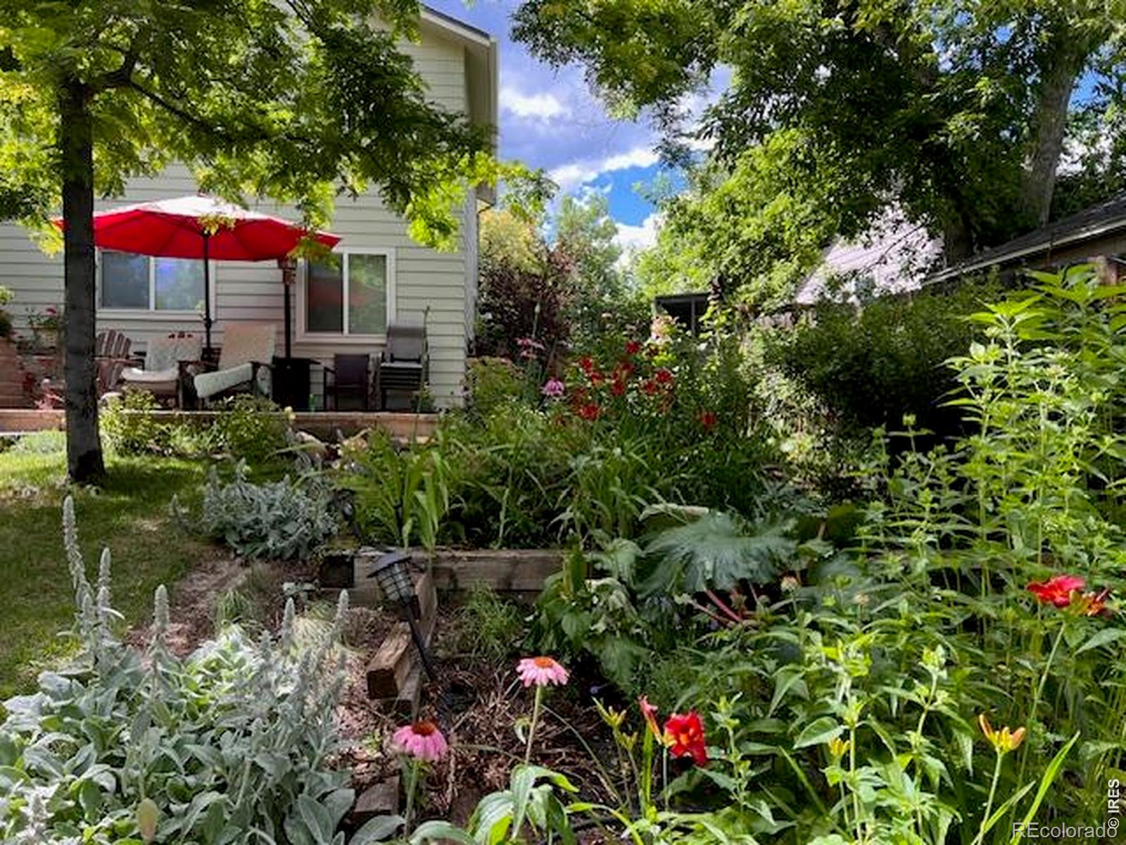 MLS Image #38 for 518 w cactus court,louisville, Colorado