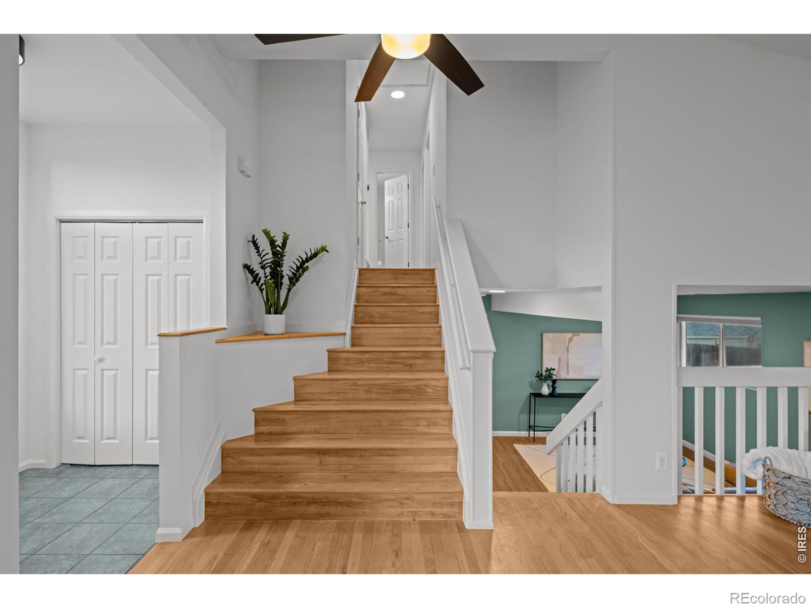 MLS Image #4 for 518 w cactus court,louisville, Colorado