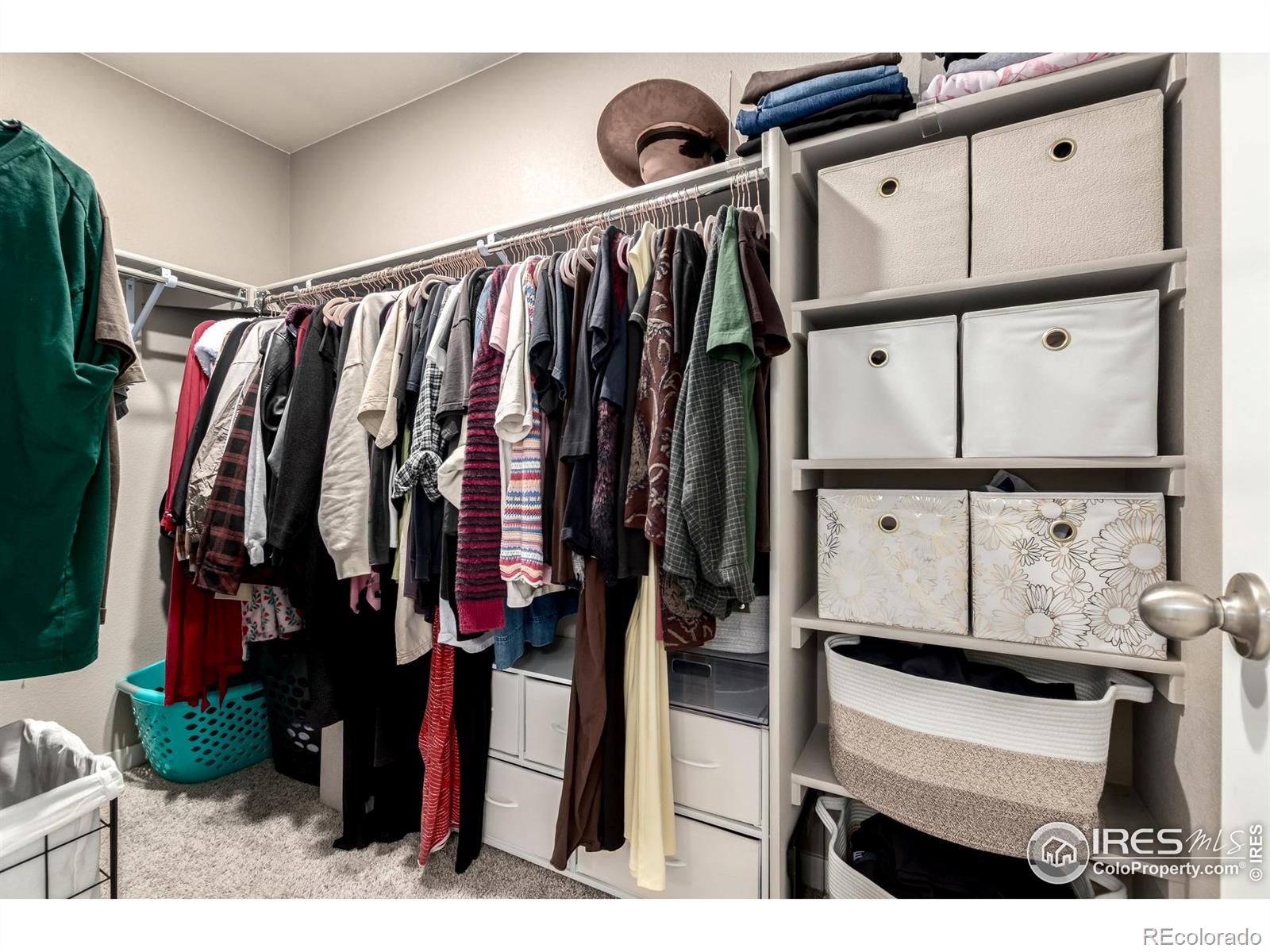 MLS Image #18 for 14802  normande drive,mead, Colorado