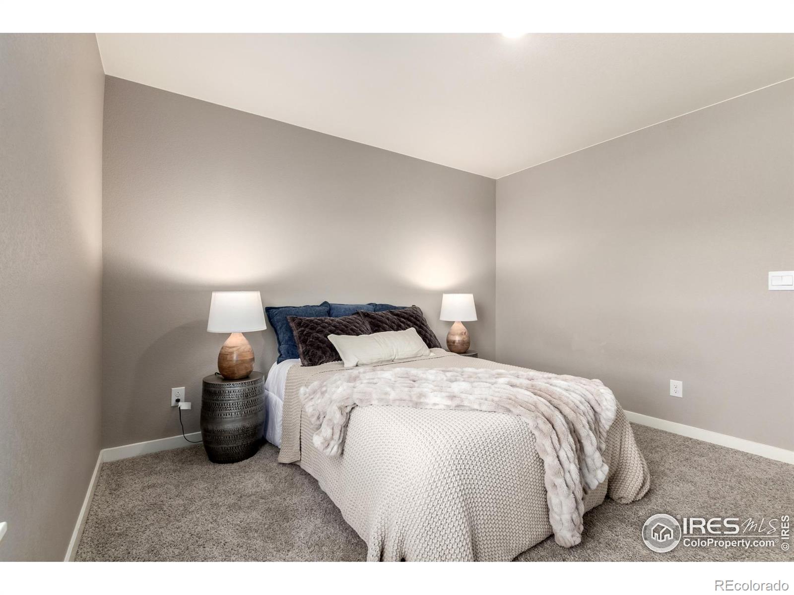 MLS Image #19 for 14802  normande drive,mead, Colorado