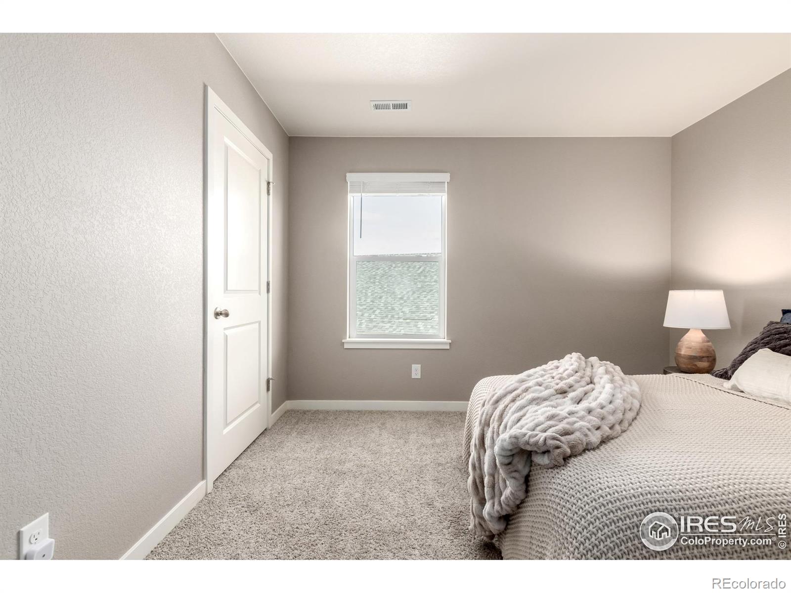 MLS Image #20 for 14802  normande drive,mead, Colorado