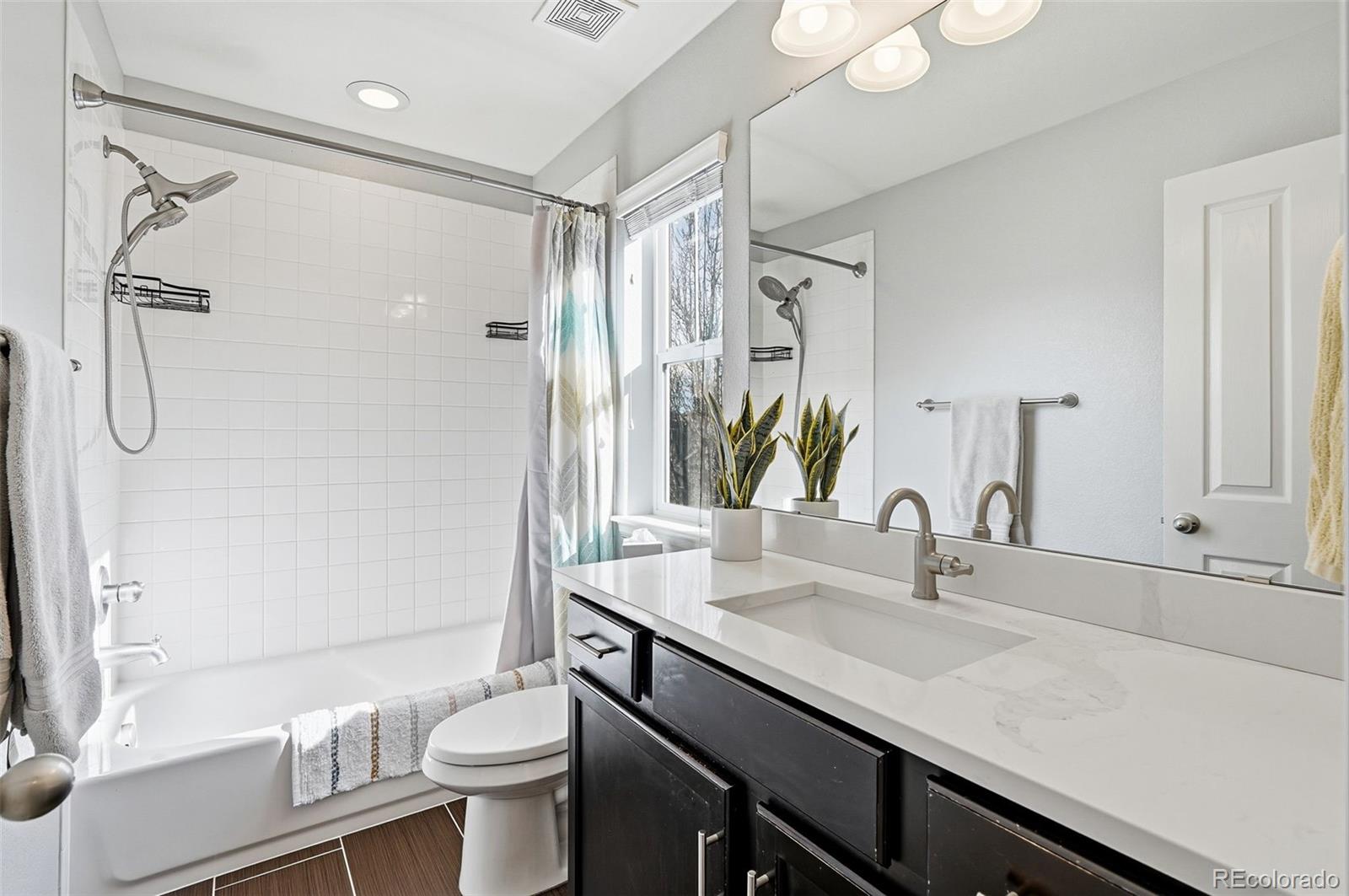 MLS Image #31 for 3728  champagne avenue,castle rock, Colorado