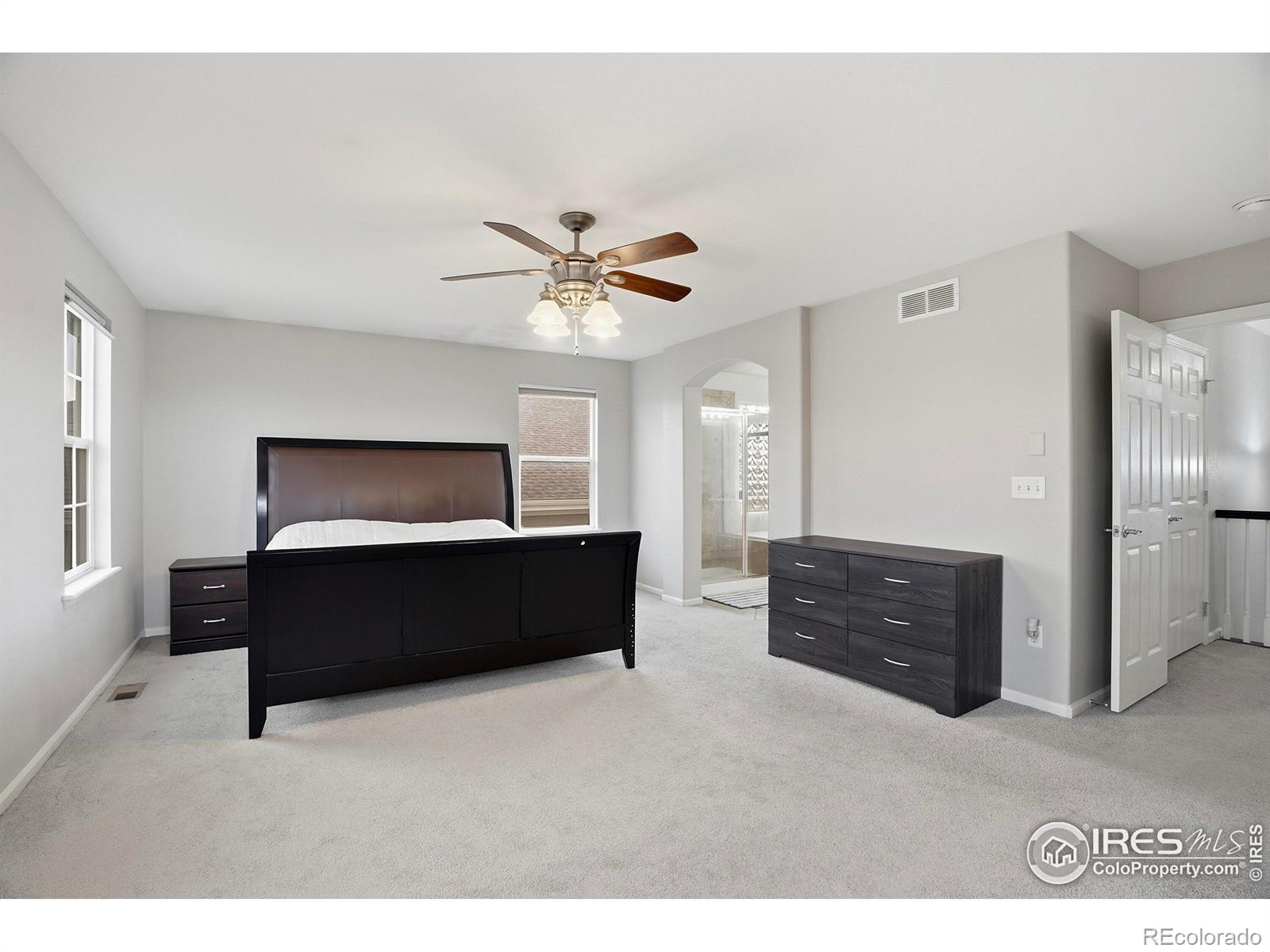 MLS Image #18 for 2146  indian paintbrush way,erie, Colorado