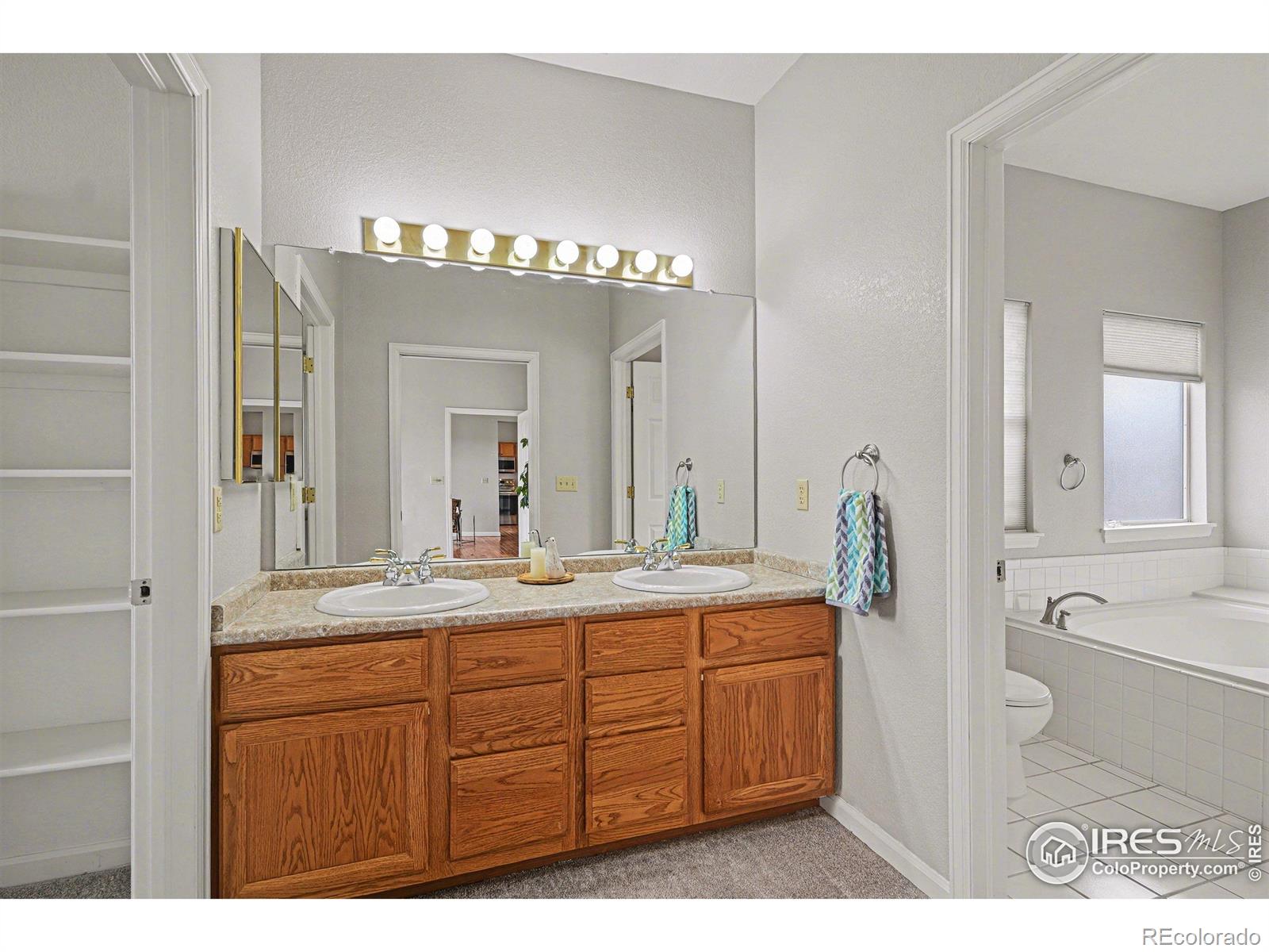 MLS Image #10 for 12271 w chenango drive,morrison, Colorado