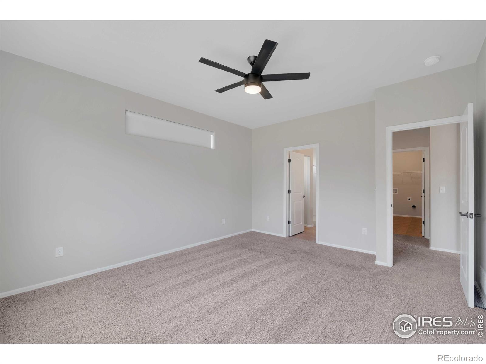 MLS Image #19 for 1867  abundance drive,windsor, Colorado