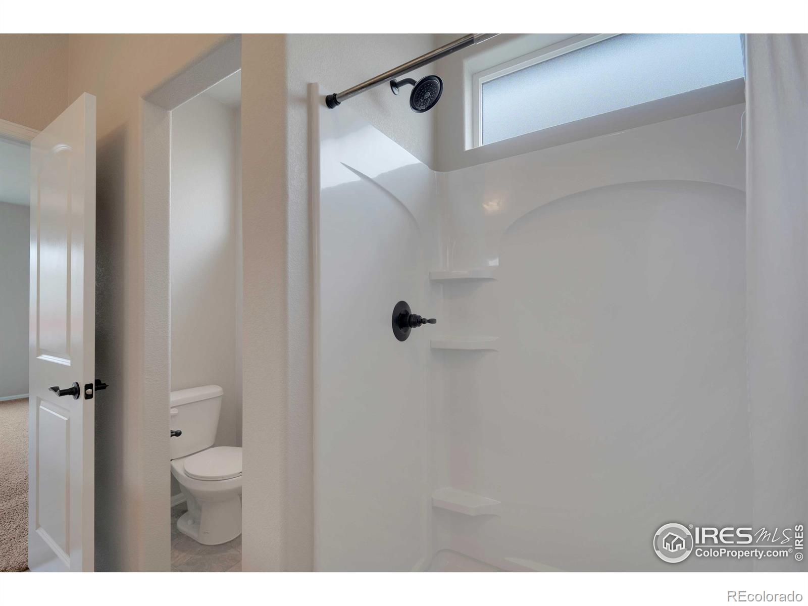 MLS Image #24 for 1867  abundance drive,windsor, Colorado
