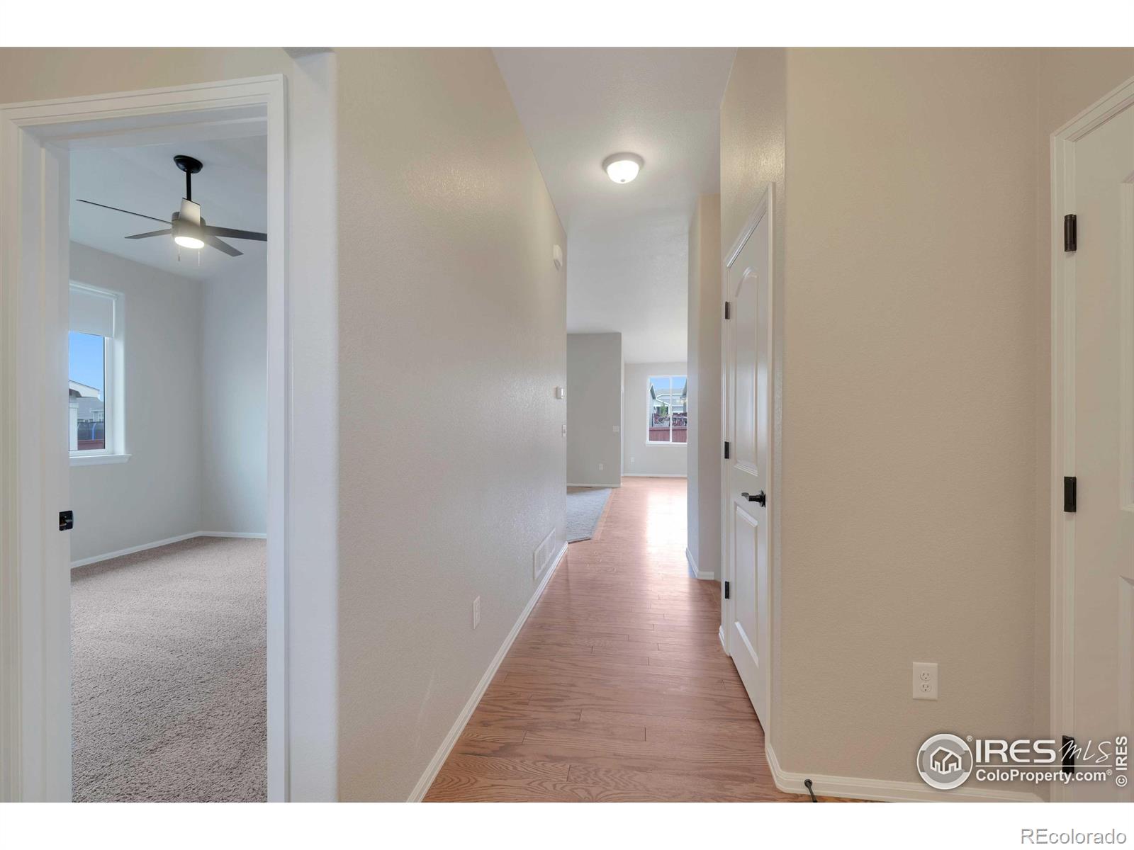 MLS Image #3 for 1867  abundance drive,windsor, Colorado