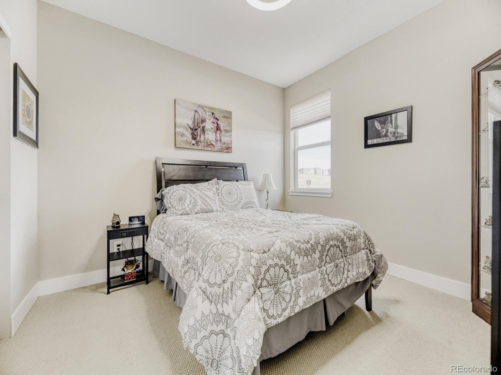 MLS Image #11 for 13525  tree sparrow lane,parker, Colorado