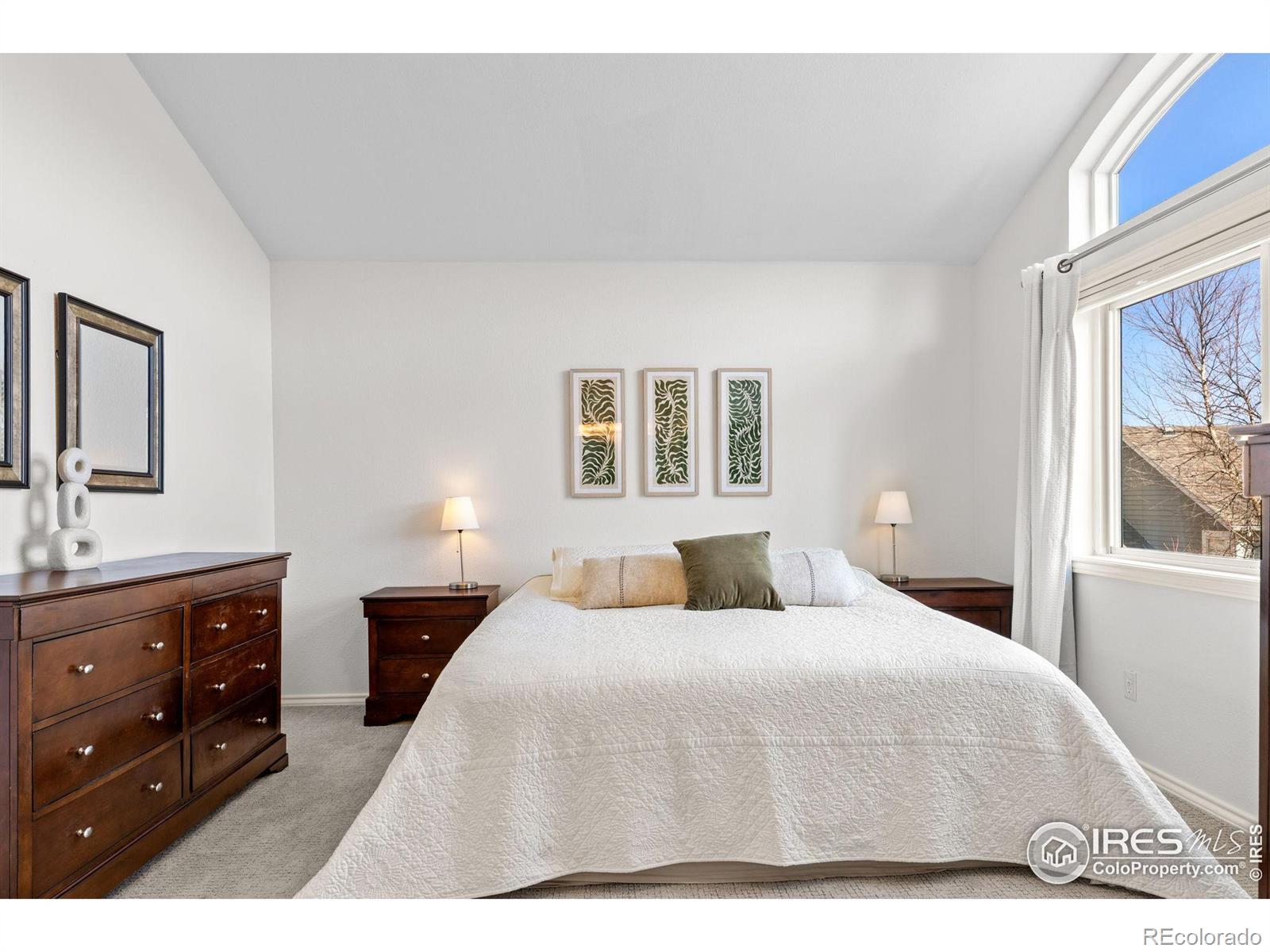 MLS Image #24 for 5646  rim rock court,boulder, Colorado