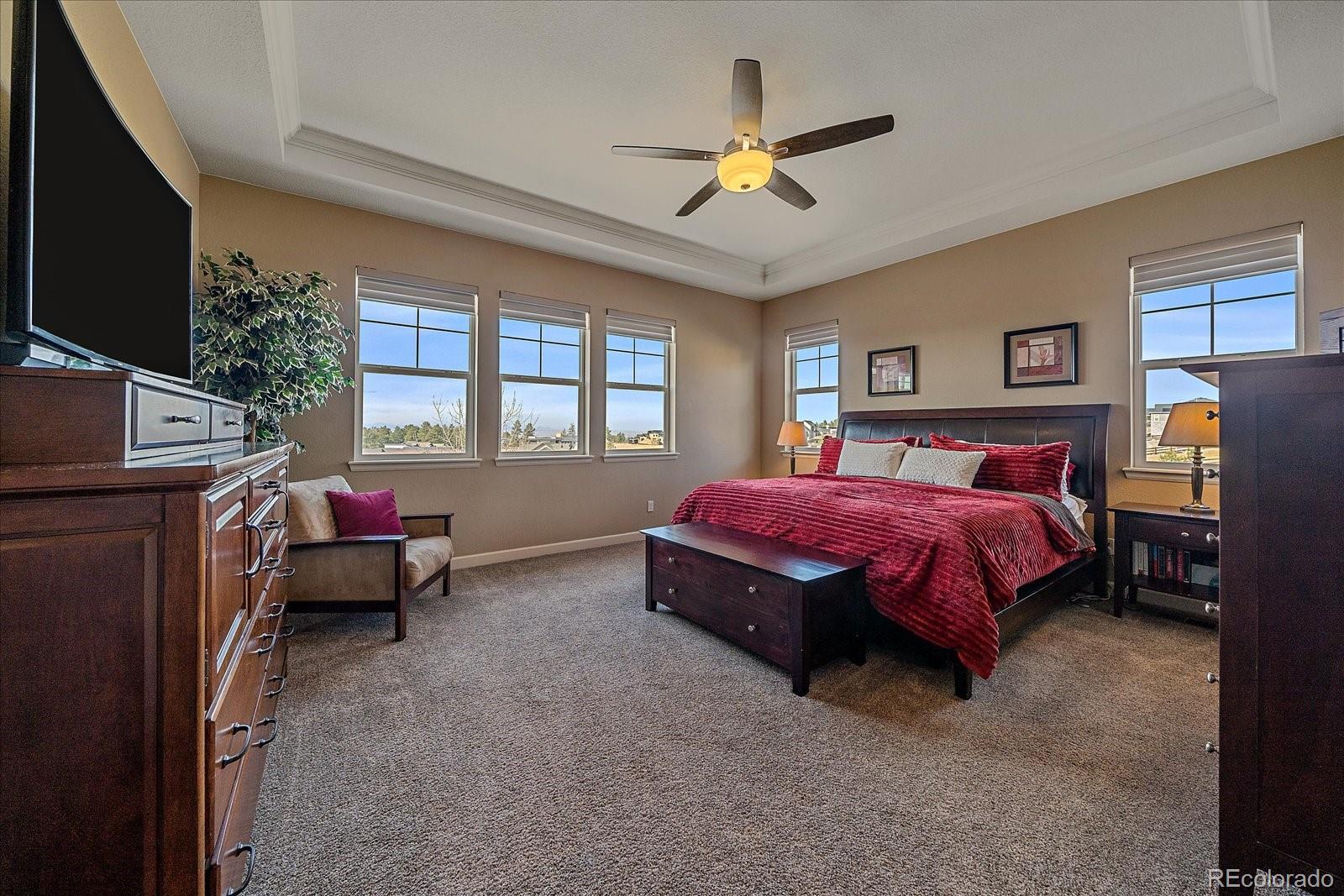 MLS Image #20 for 9826  crimson oak court,parker, Colorado