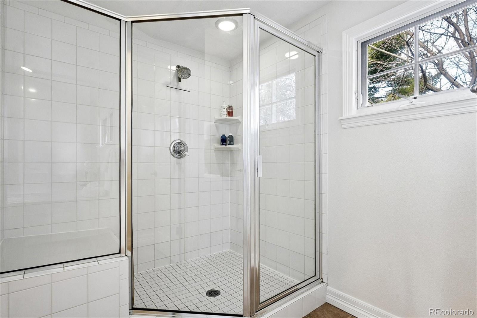 MLS Image #23 for 1142 s columbine street,denver, Colorado