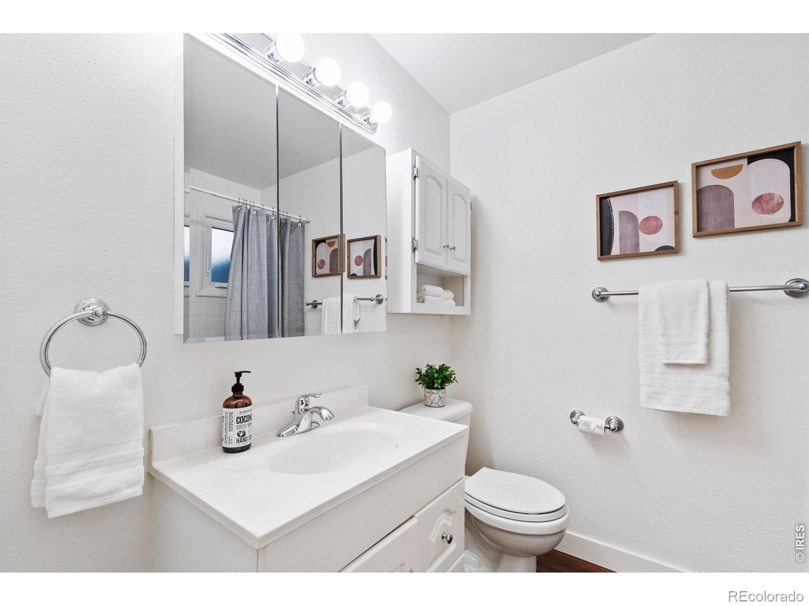 MLS Image #11 for 808 w 12th avenue ,denver, Colorado