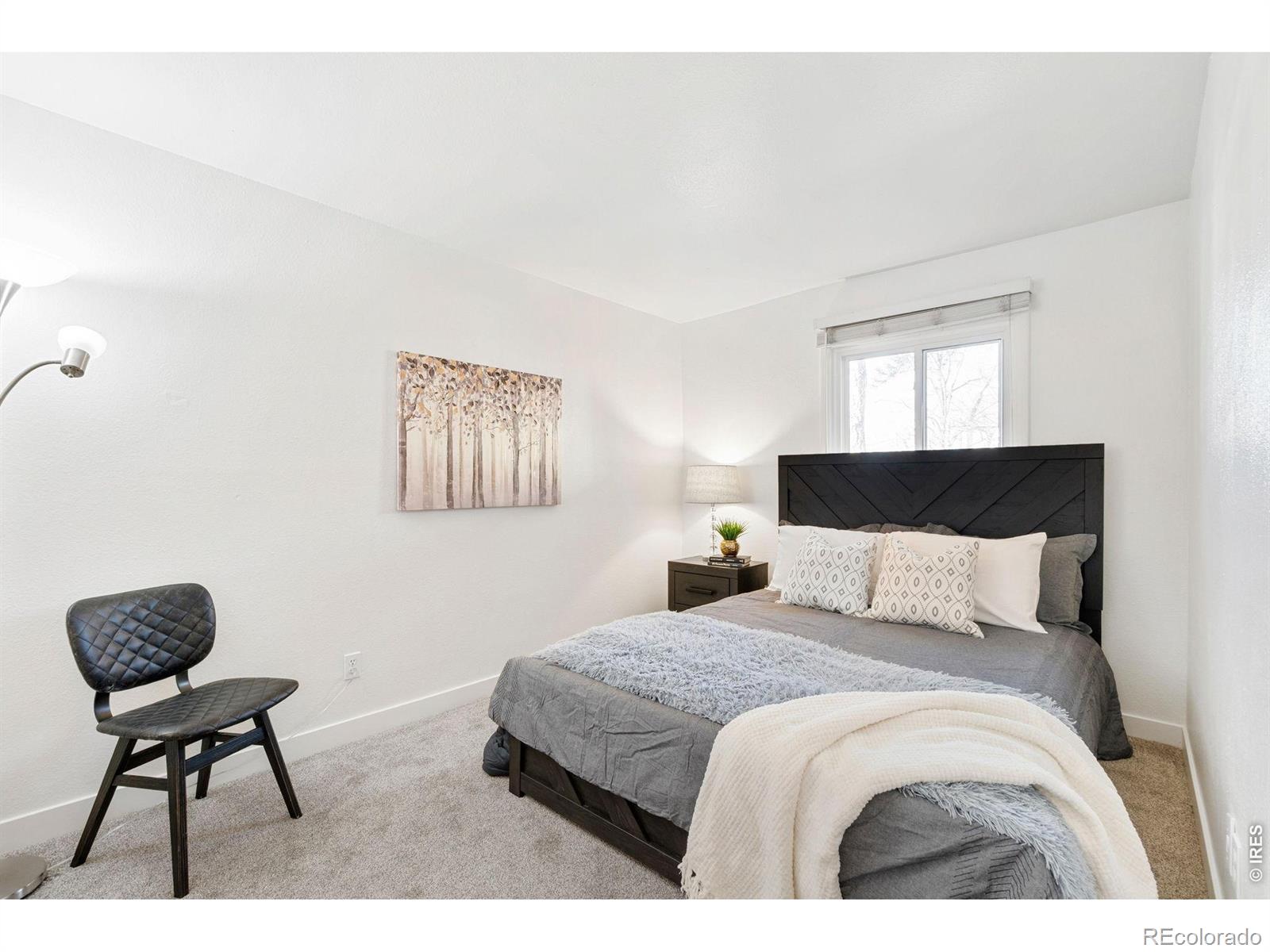 MLS Image #9 for 808 w 12th avenue ,denver, Colorado
