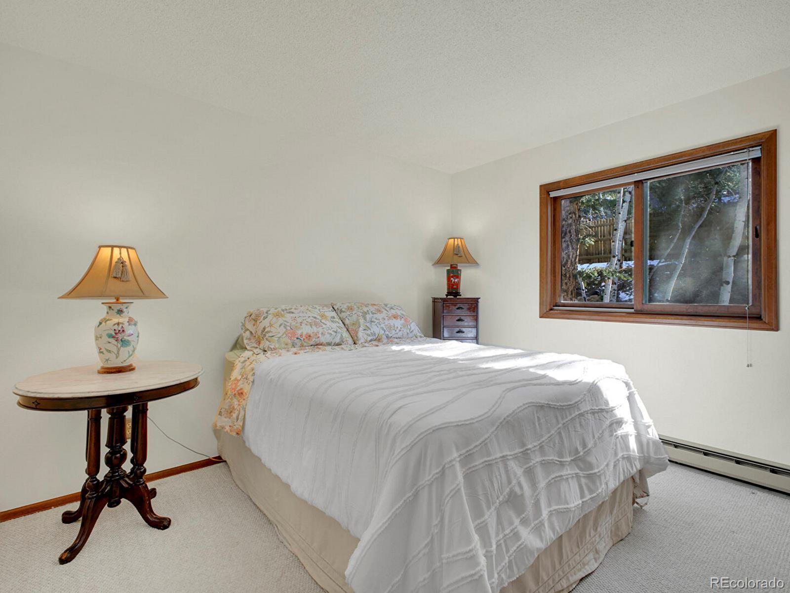 MLS Image #19 for 638  impala trail,bailey, Colorado