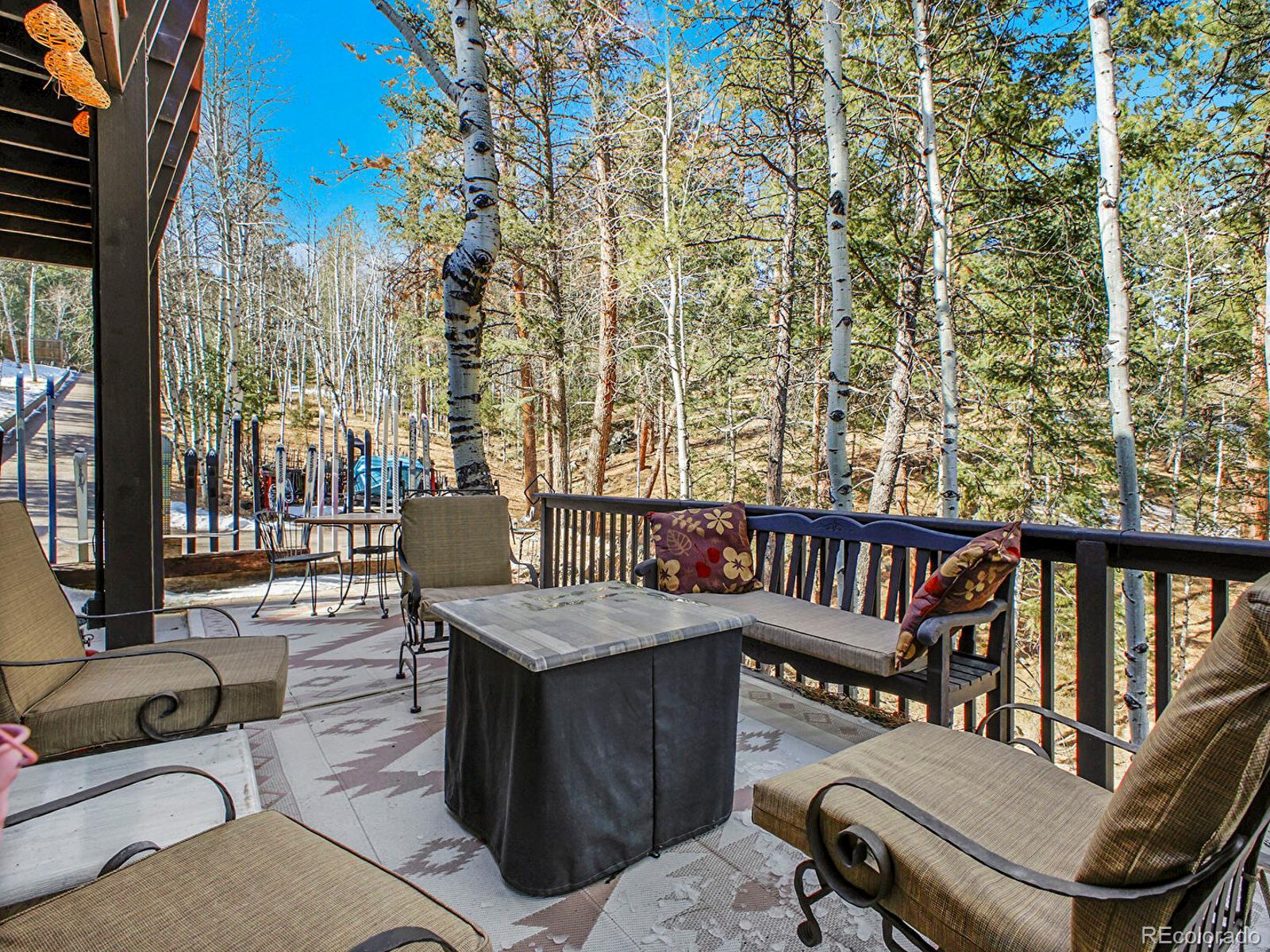 MLS Image #42 for 638  impala trail,bailey, Colorado