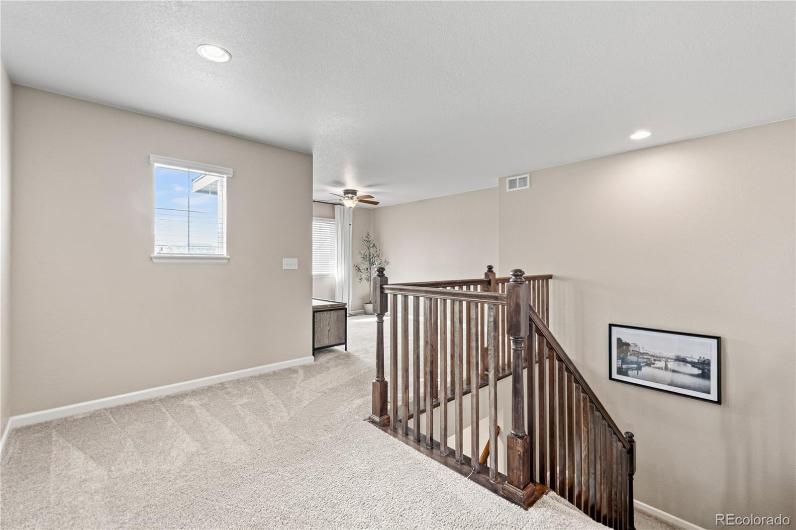 MLS Image #19 for 944  mcmurdo circle,castle rock, Colorado