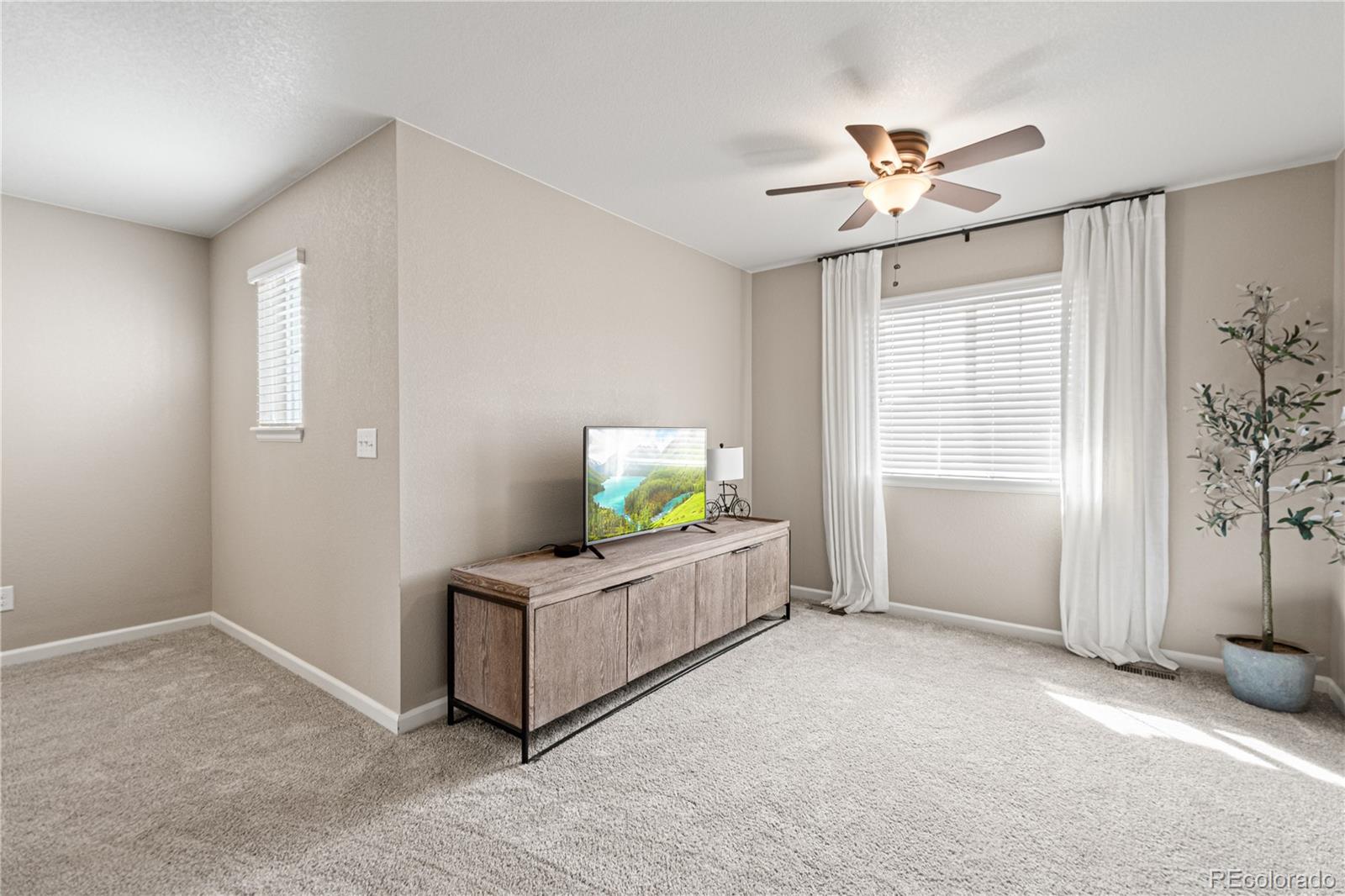 MLS Image #21 for 944  mcmurdo circle,castle rock, Colorado