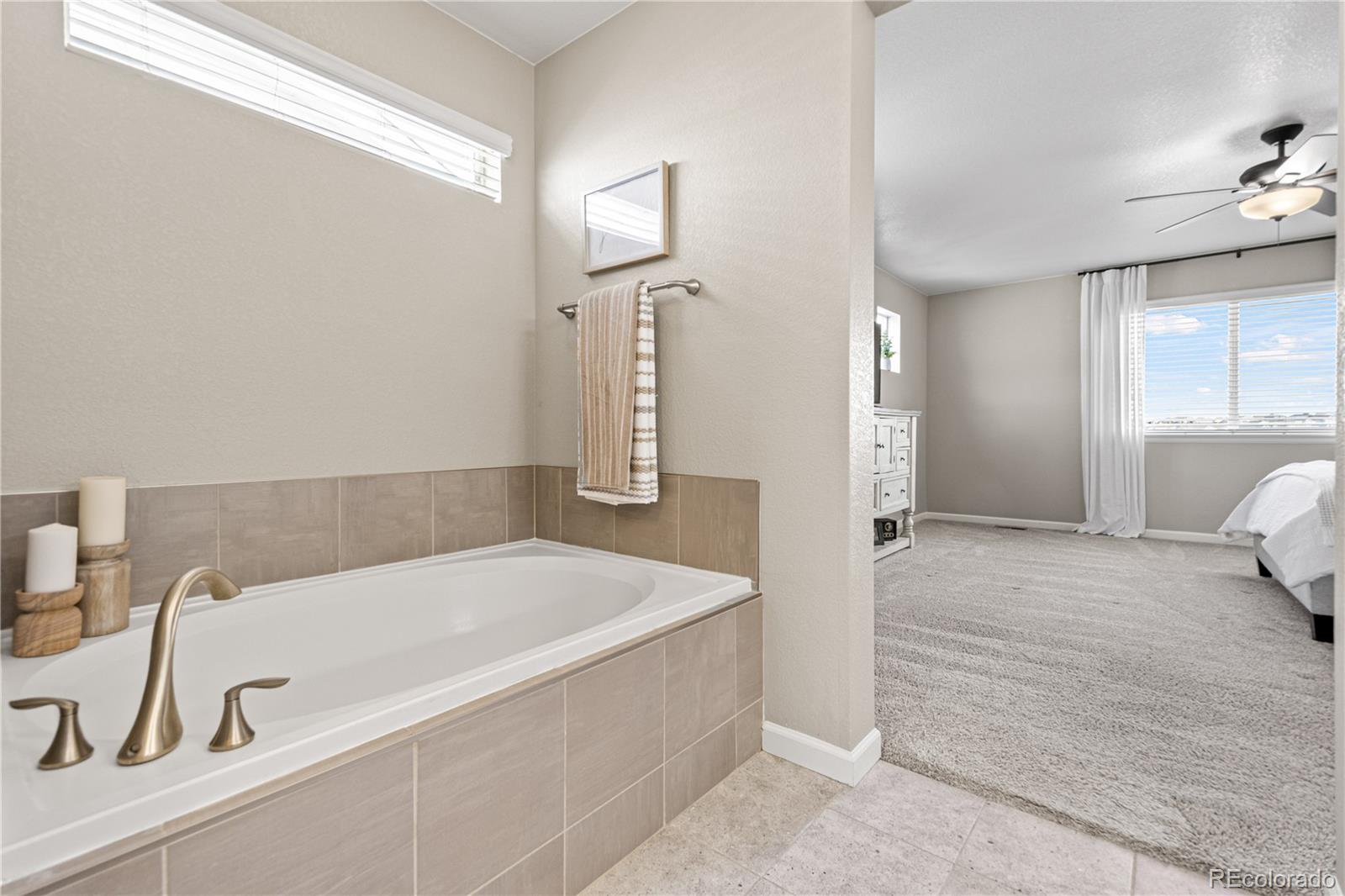 MLS Image #27 for 944  mcmurdo circle,castle rock, Colorado