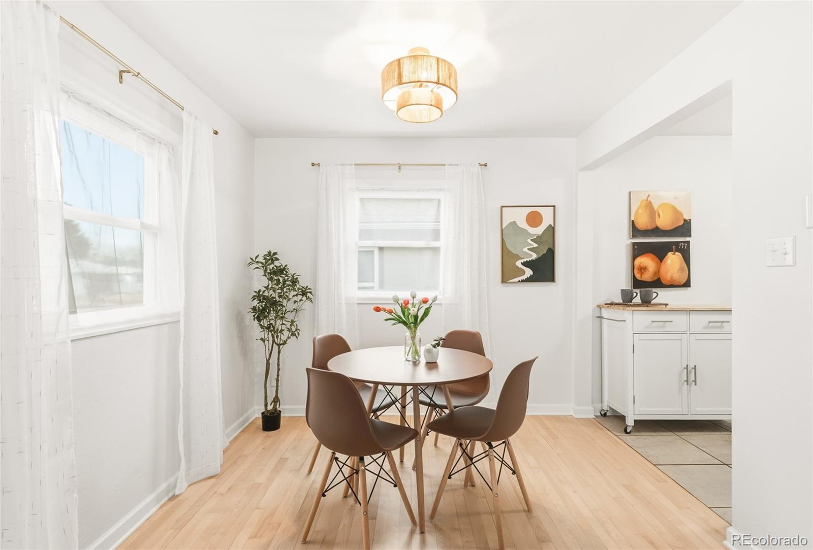 MLS Image #9 for 1164  roslyn street,denver, Colorado