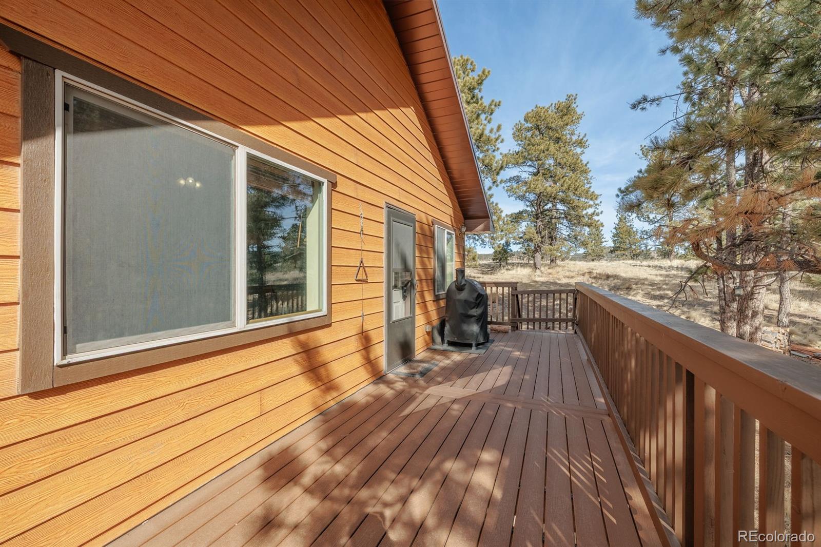 MLS Image #12 for 345  meadow lane,guffey, Colorado