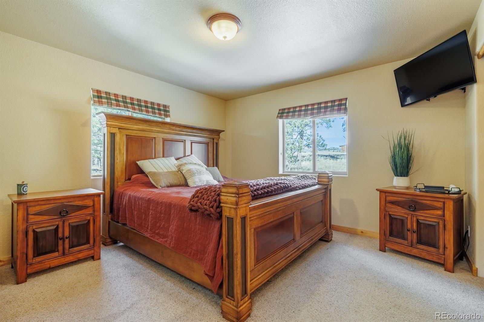 MLS Image #18 for 345  meadow lane,guffey, Colorado