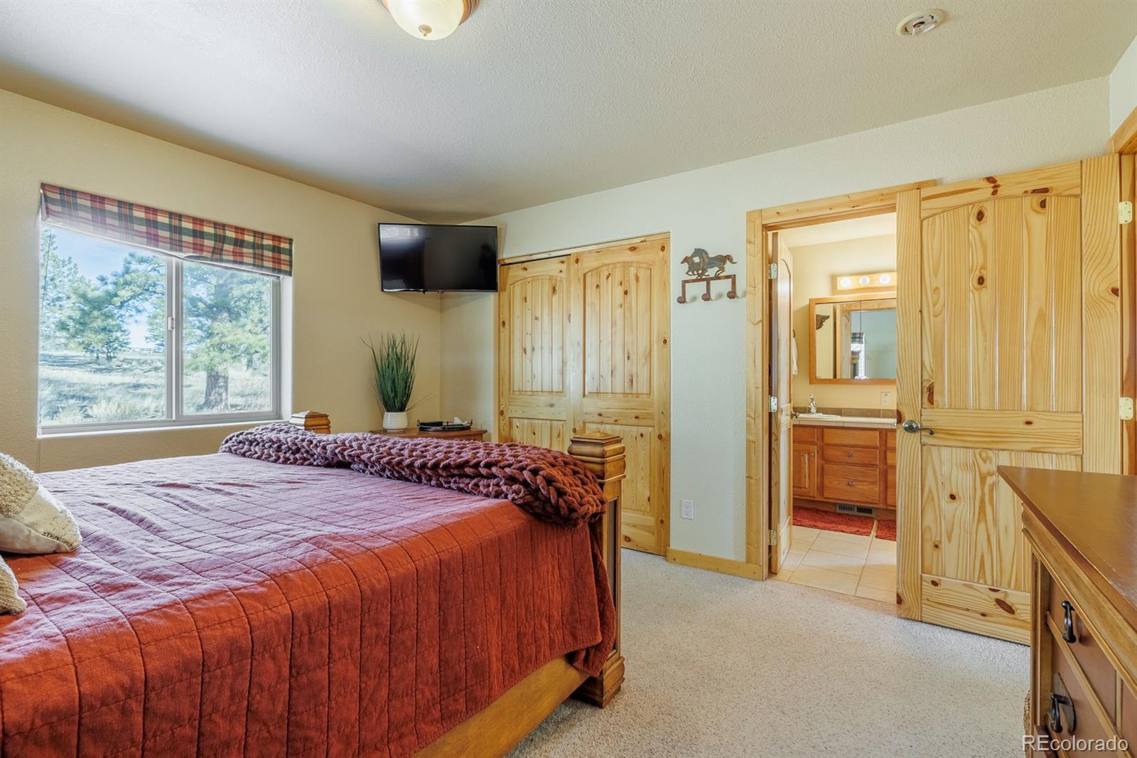 MLS Image #20 for 345  meadow lane,guffey, Colorado