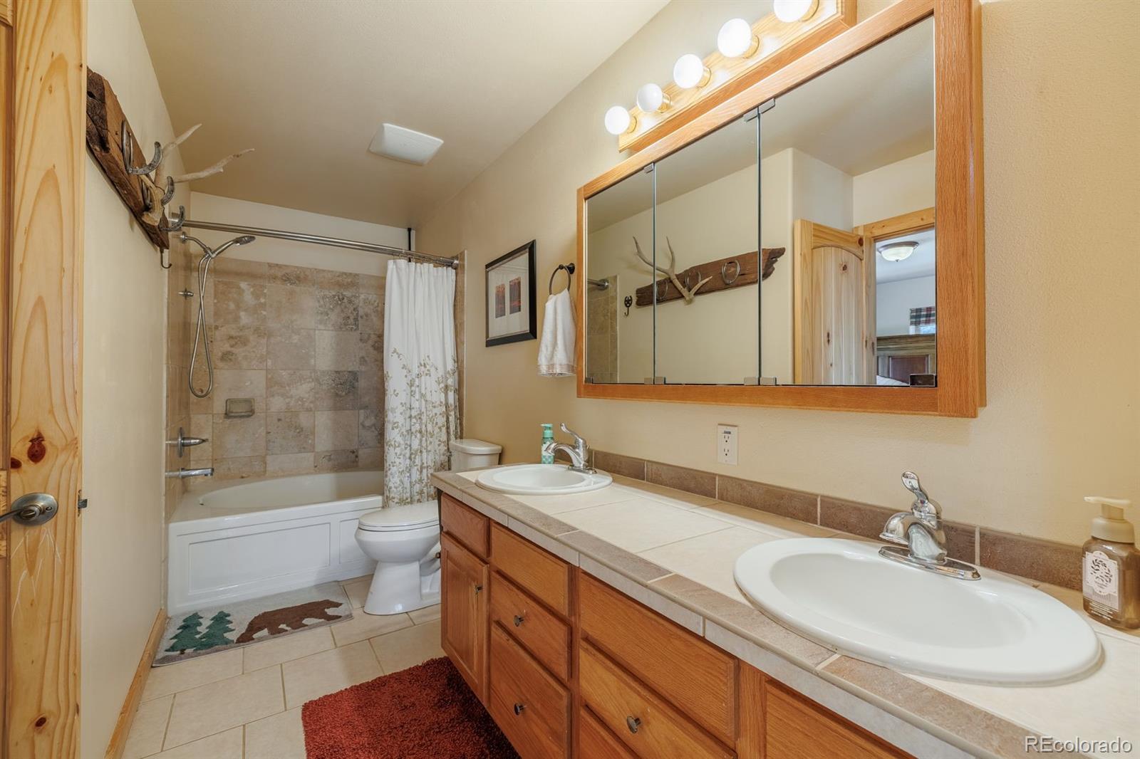 MLS Image #21 for 345  meadow lane,guffey, Colorado