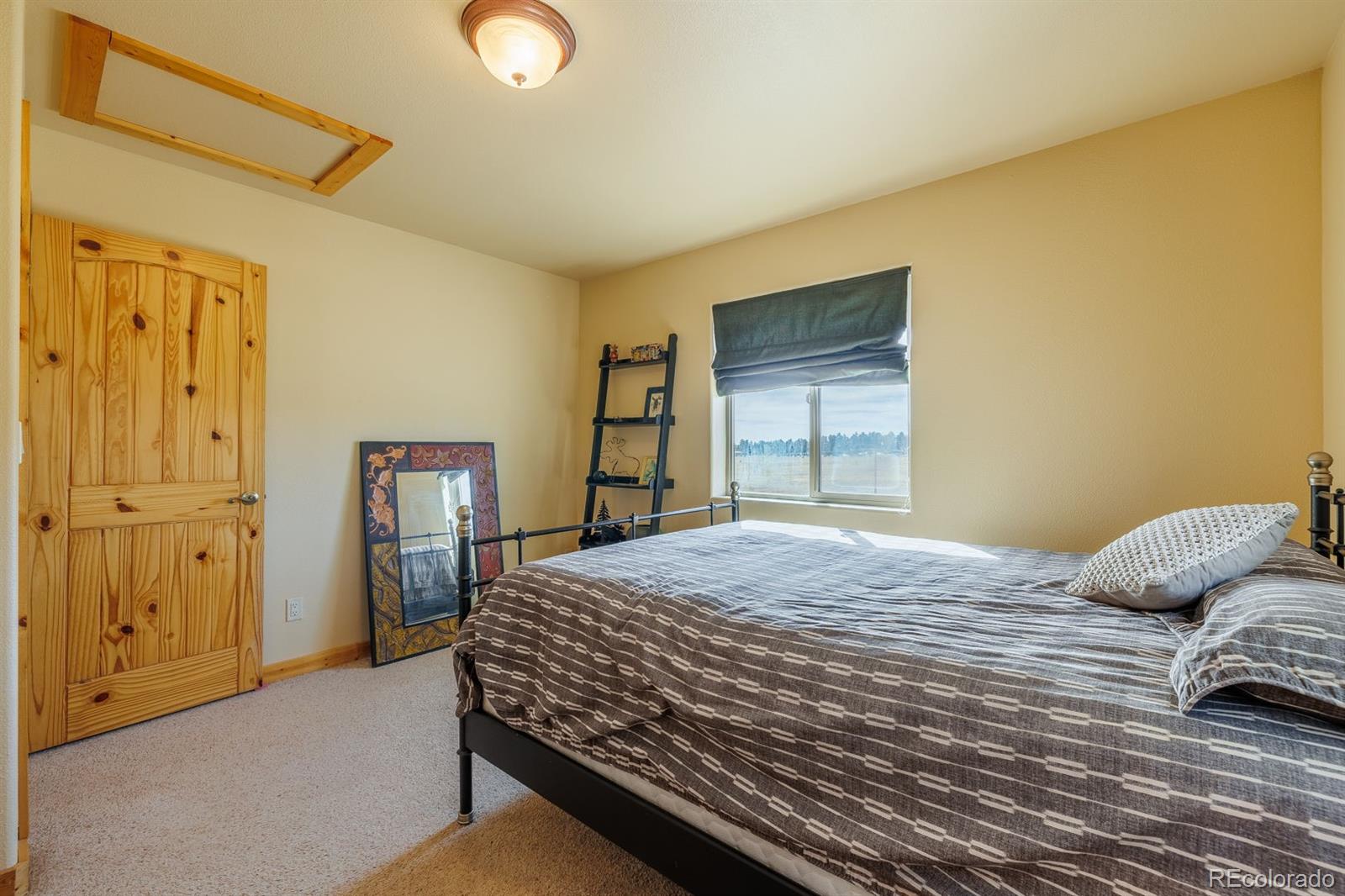 MLS Image #23 for 345  meadow lane,guffey, Colorado