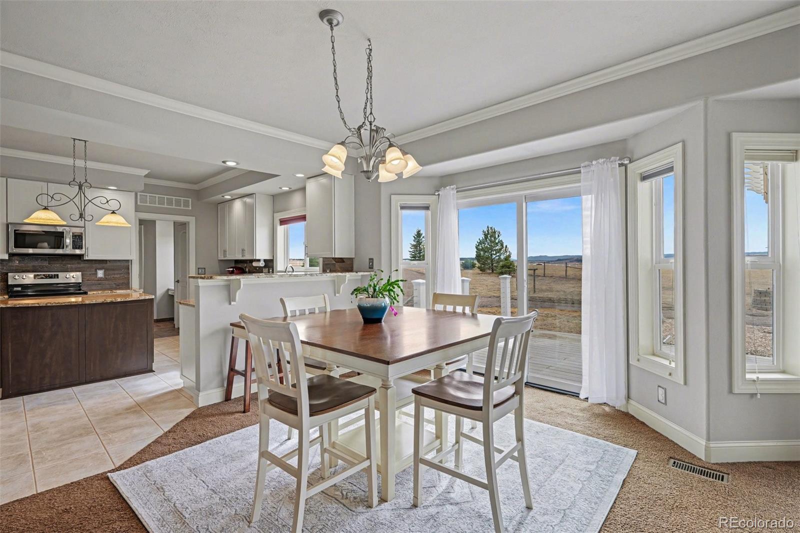 MLS Image #12 for 10563  lucas avenue,franktown, Colorado