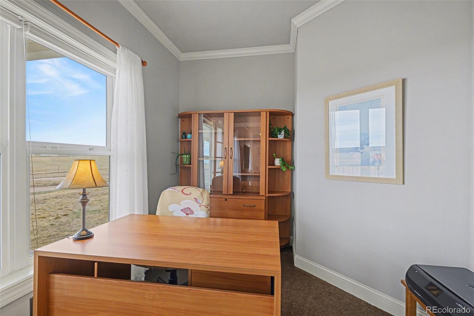 MLS Image #13 for 10563  lucas avenue,franktown, Colorado