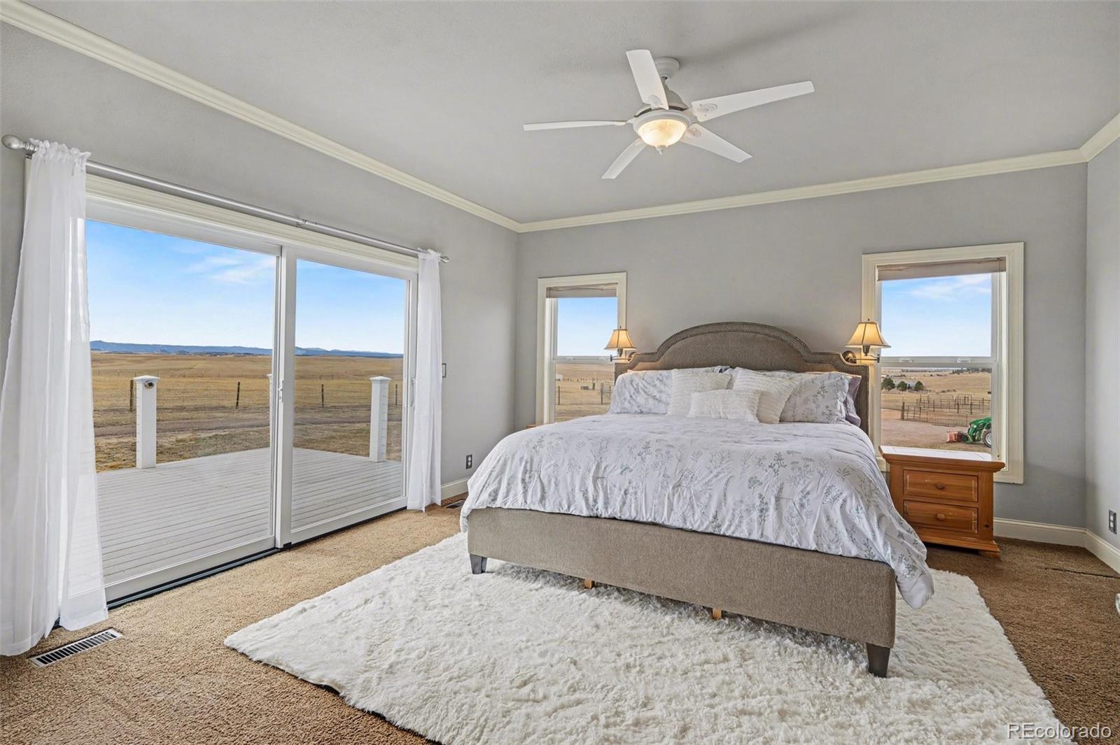 MLS Image #15 for 10563  lucas avenue,franktown, Colorado