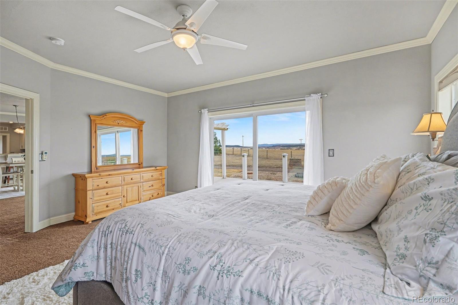 MLS Image #16 for 10563  lucas avenue,franktown, Colorado