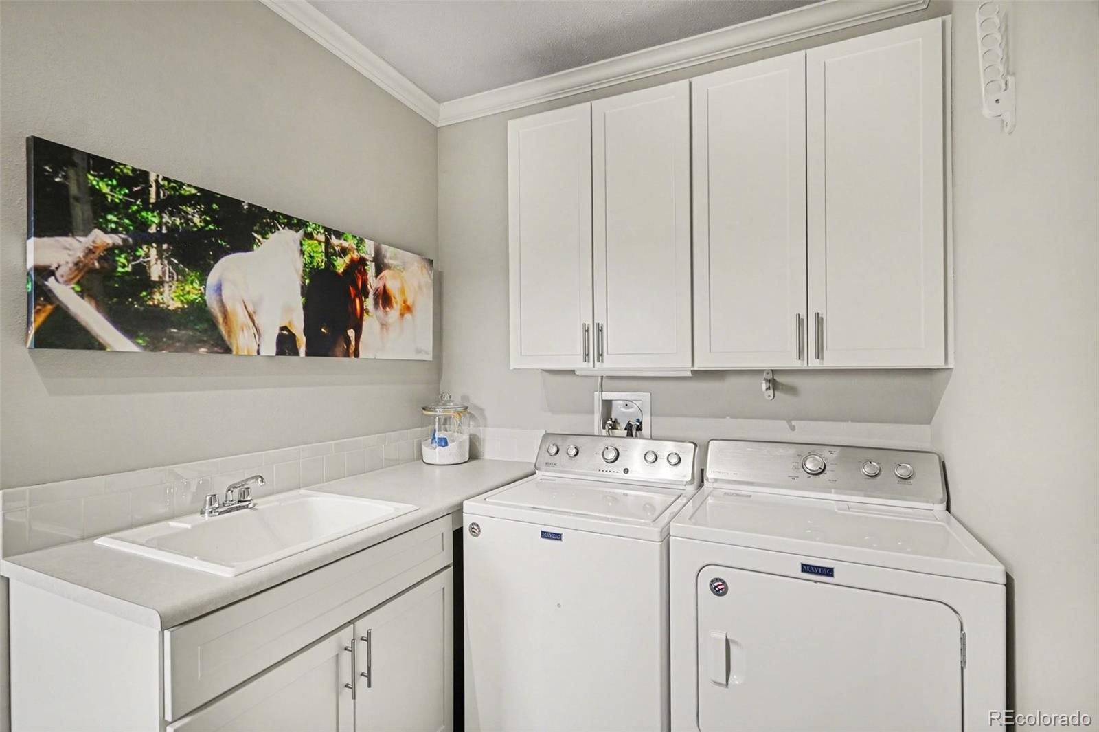 MLS Image #17 for 10563  lucas avenue,franktown, Colorado