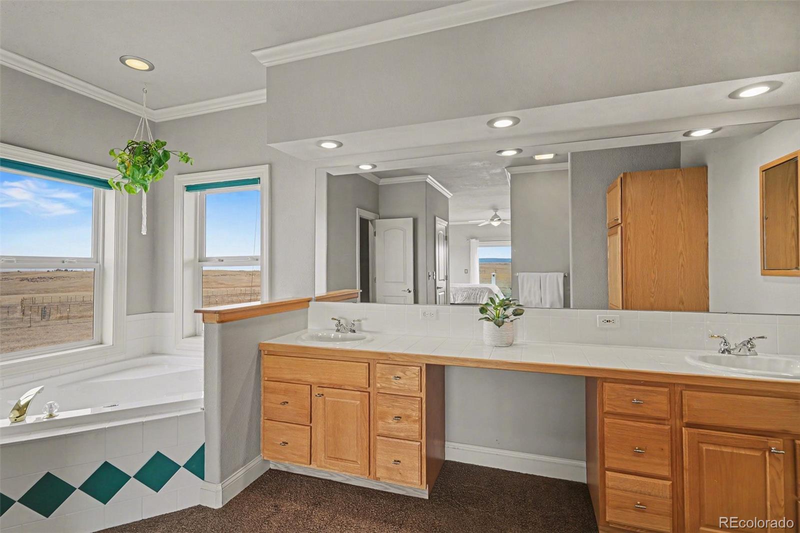 MLS Image #19 for 10563  lucas avenue,franktown, Colorado