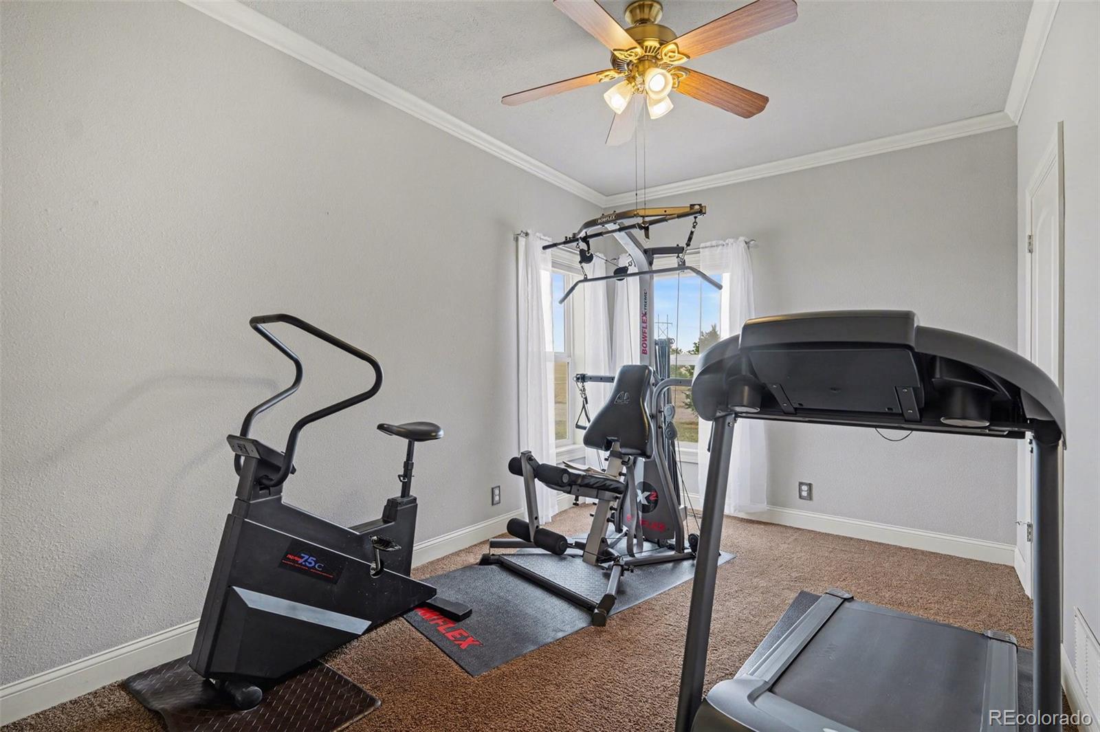 MLS Image #29 for 10563  lucas avenue,franktown, Colorado