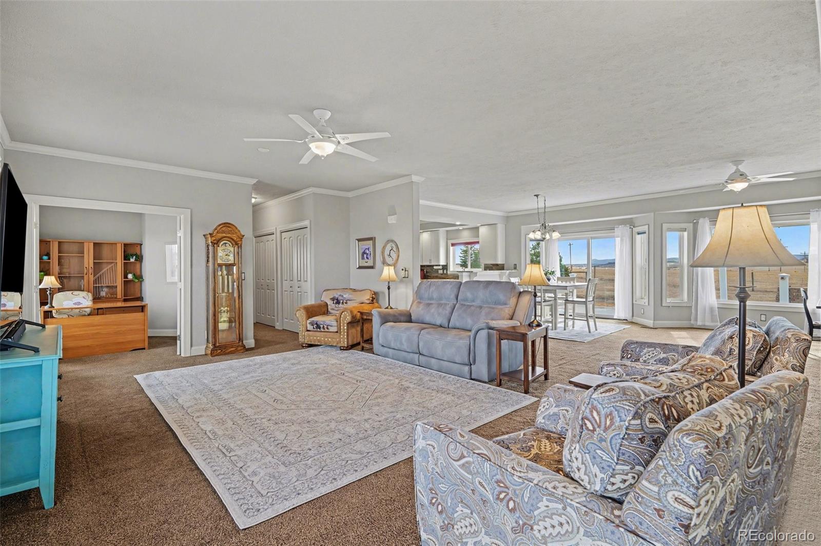 MLS Image #7 for 10563  lucas avenue,franktown, Colorado