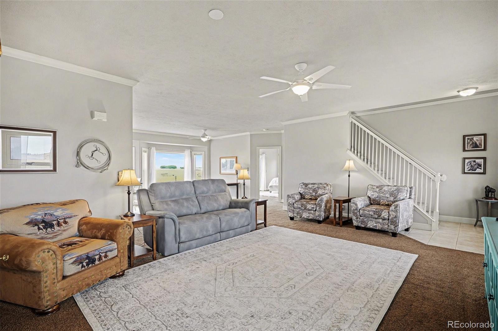 MLS Image #8 for 10563  lucas avenue,franktown, Colorado