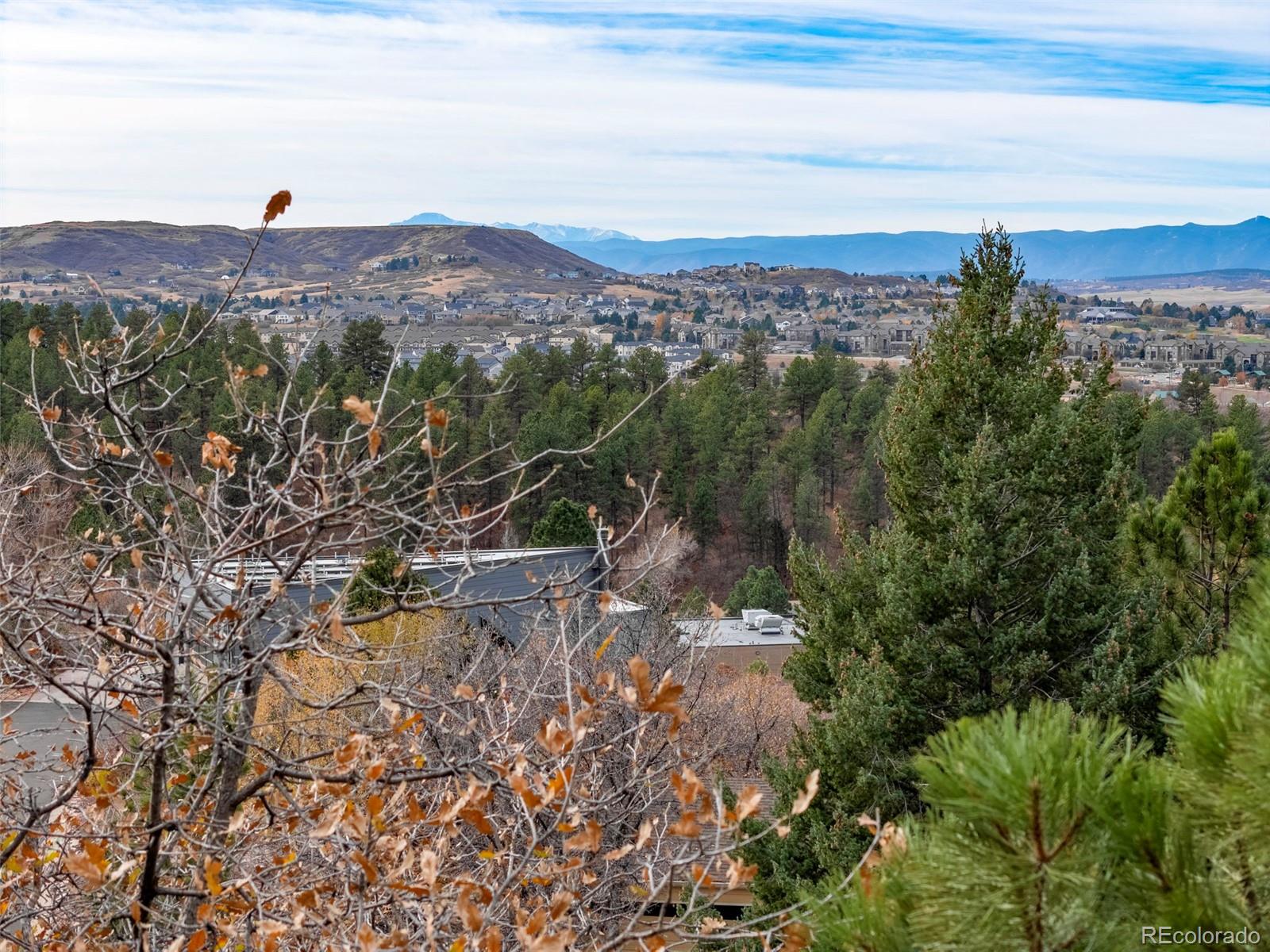 MLS Image #31 for 45  oak ridge drive,castle rock, Colorado