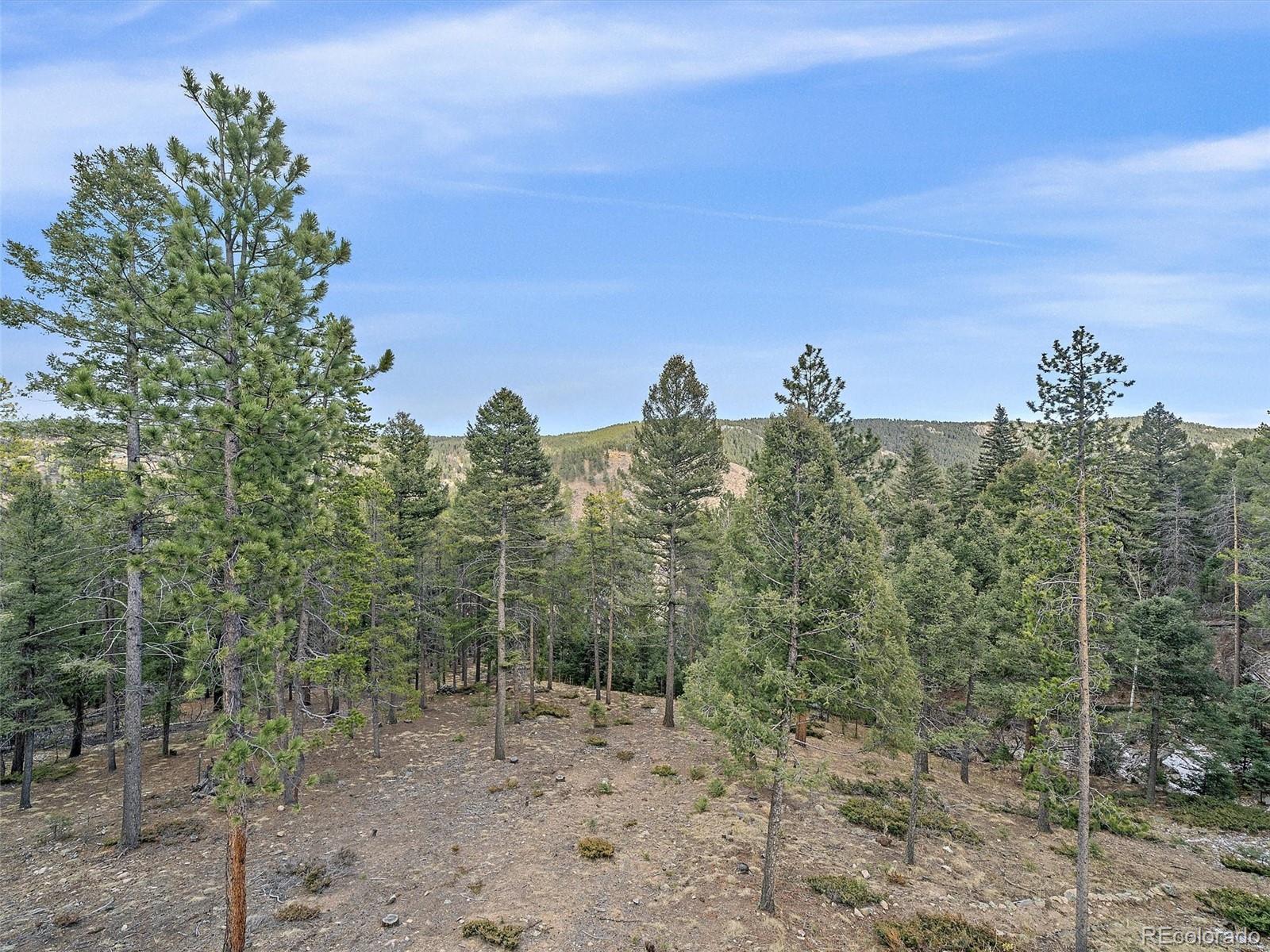 MLS Image #46 for 24998  red cloud drive,conifer, Colorado