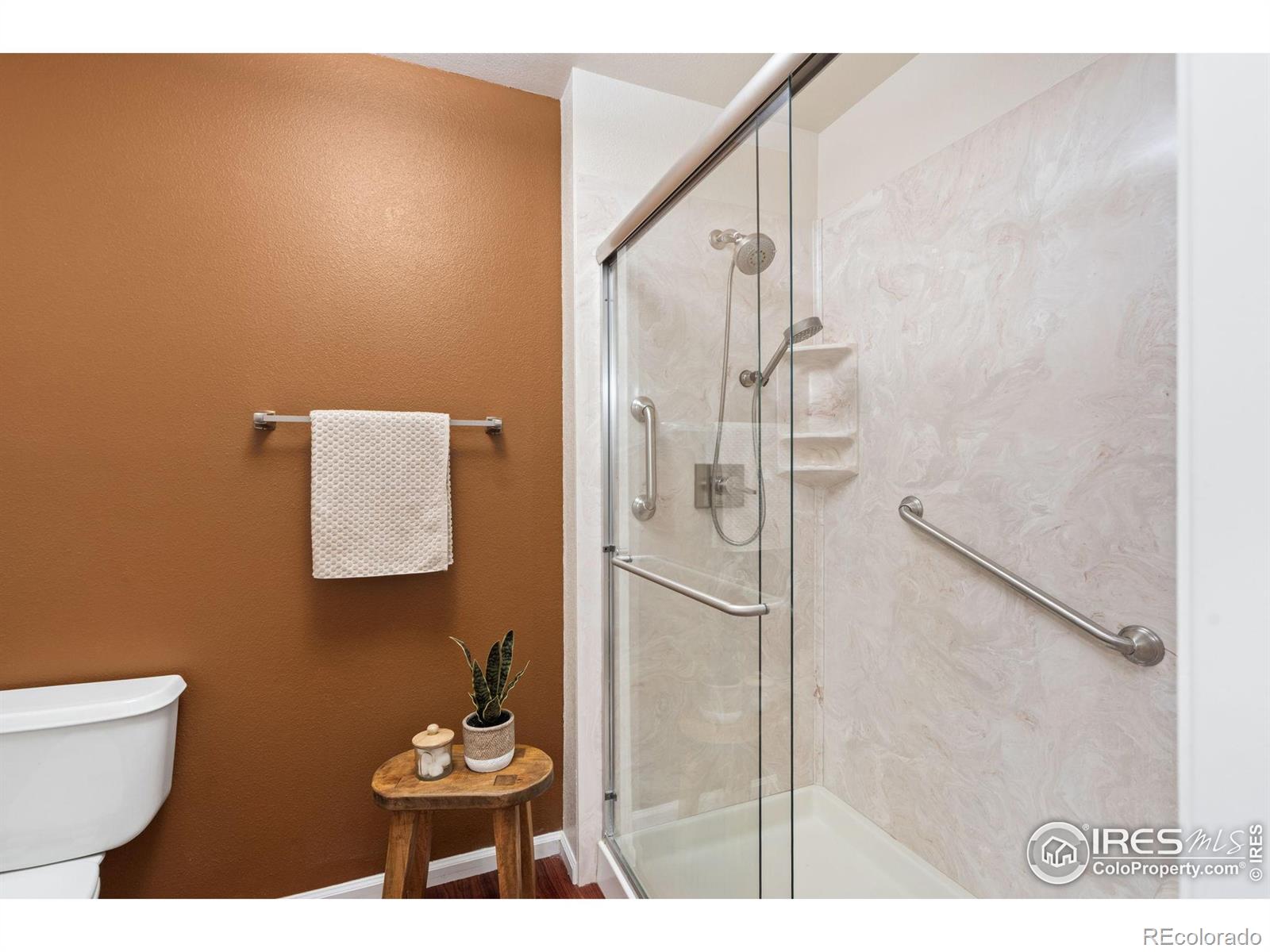 MLS Image #28 for 3500  swanstone drive,fort collins, Colorado
