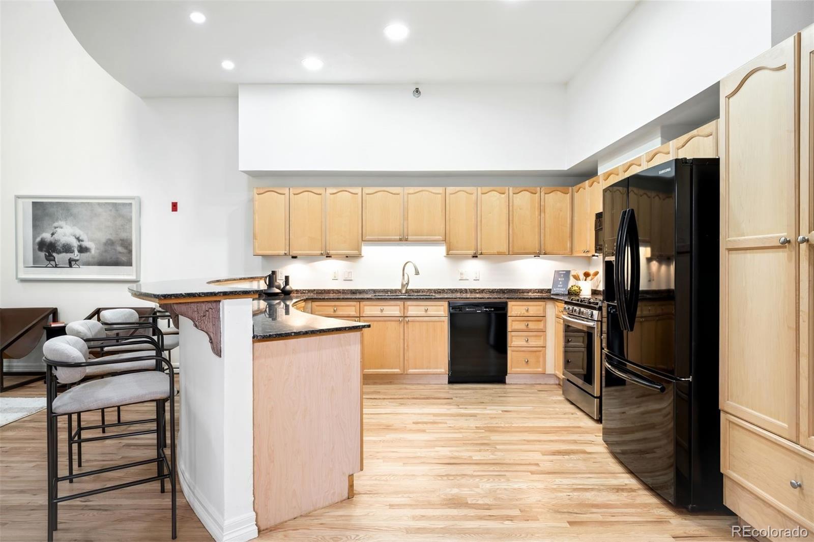MLS Image #5 for 225 n lincoln street,denver, Colorado
