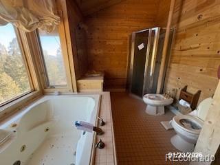 MLS Image #15 for 82  gatewood lane,pine, Colorado
