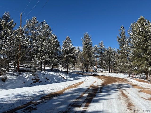 MLS Image #19 for 82  gatewood lane,pine, Colorado