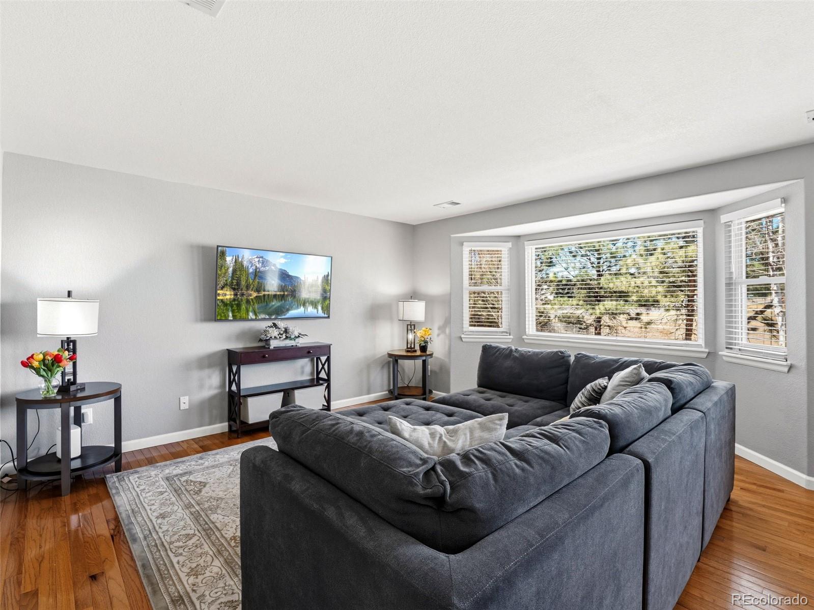 MLS Image #14 for 11003  blackwolf drive,parker, Colorado