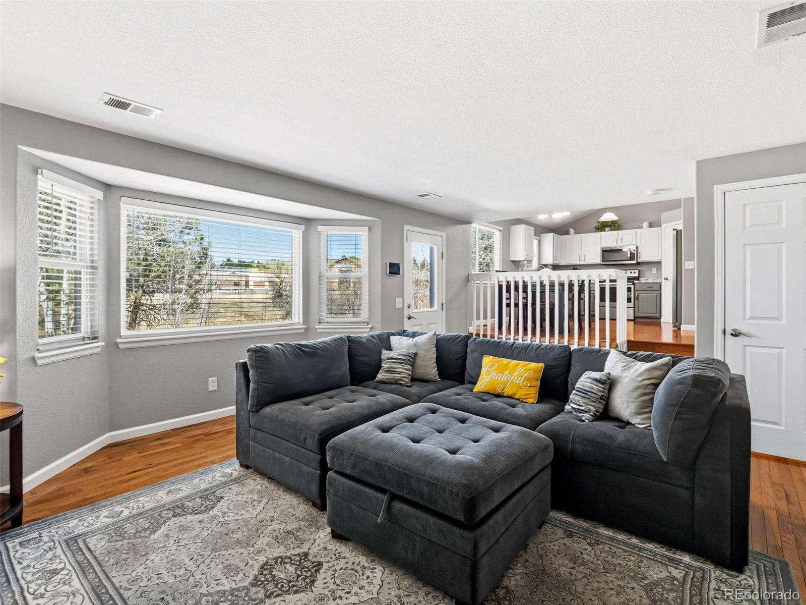 MLS Image #15 for 11003  blackwolf drive,parker, Colorado