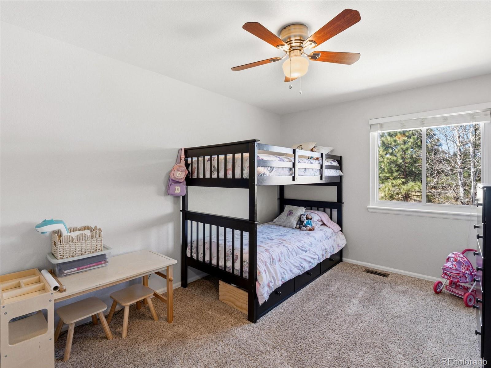 MLS Image #26 for 11003  blackwolf drive,parker, Colorado